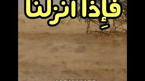 ومن آياته أنك ترى الأرض خاشعة فإذا أنزلنا عليها الماء اهتزت وربت إن الذي أحياها لمحيي الموتى
