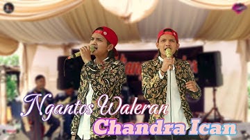 Ngantos Waleran Chandra ICAN | SADA SUNDA Ft SKB MUSIC (LIVE MENGER TENGAH)