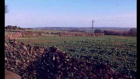 Sporting Scene - Pigeon Shooting 1.