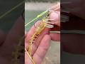 A fishing knot ideal for attaching plastic fishing lures