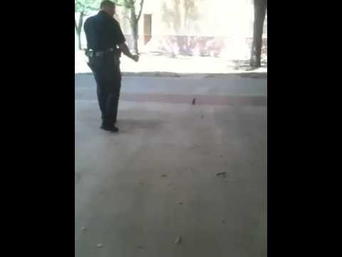 Cop Pepper Sprays Squirrel