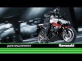 Kawasaki Z1000 2010