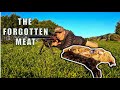 Huntpreparecook wild rabbit caution headshots how to zero your scope cz thumbhole 22 moa ep6s2