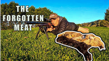 Wild Rabbit Hunt, Cook, Prepare| Pest Control with Purpose (Headshots + Scope Zeroing Tips)