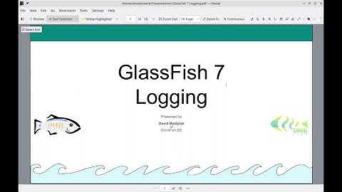 Changes in GlassFish 7 Logging System