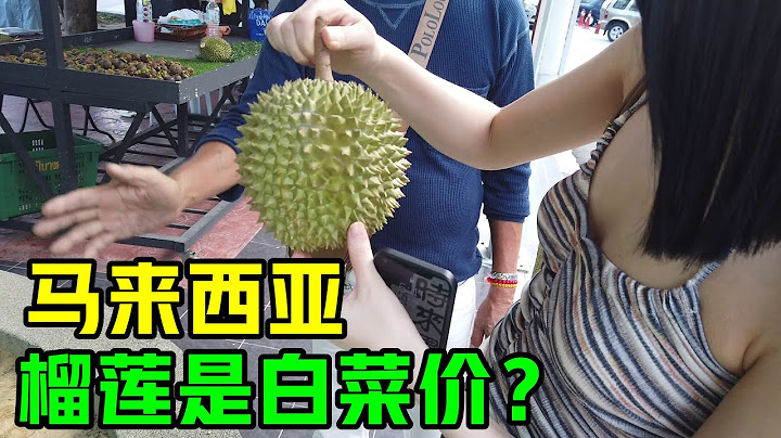 在马来西亚，榴莲是“白菜价”？价格又便宜，味道又超好！祖籍福建的华人老板，讲自己家族下南洋的历史