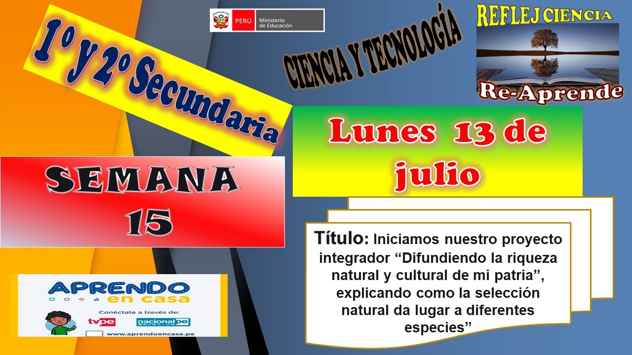 REFLEJANDO APRENDO EN CASA SECUNDARIA 1 y 2 HOY LUNES 13 DE JULIO CTA SEMANA 15 /ACT... ADECUADAS/