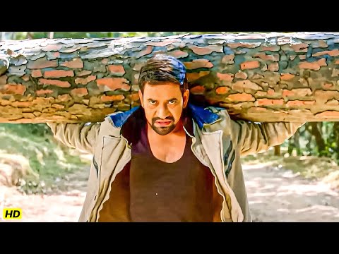 दिनेश लाल यादव का जबरदस्त एक्शन क्लाइमेक्स सीन | Bhojpuri Latest Movie Scene | Neeta Dhungana