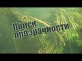 Как определить прозрачность воды? Подводная охота с Александром Кочубеем.