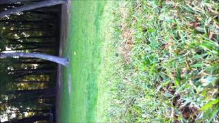 Echo Vision Paintball Aim Test