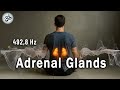 Capture de la vidéo 492,8 Hz Adrenal Glands  Frequency - Nervous System Reset, Stress Relief, Tuning Fork Healing