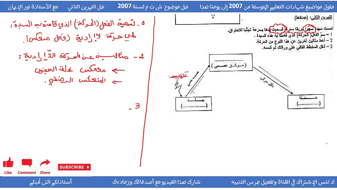 حل تمرين حول الحركة اللاإرادية علوم طبيعية سنة 04 متوسط