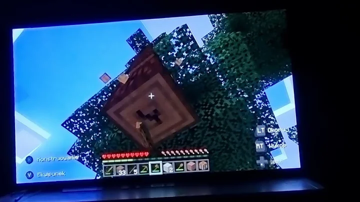 First Minecraft video