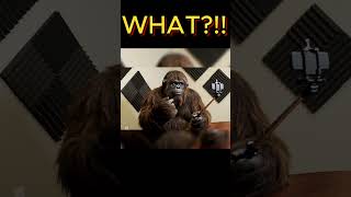 Try Not To Laugh The Best Of Hairy And Scary