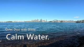 Dog TV - 30 Minutes of Calm Water for Dogs Home Alone (Real Sounds, No Talking) screenshot 4