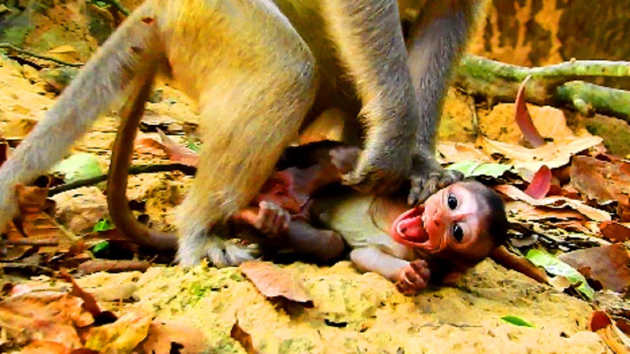 Poor baby hurt so much ! Terrible kidnapper drag baby very hard, Baby calling mum thousand times mum