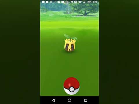 ポケモンgo ヒマナッツ Youtube