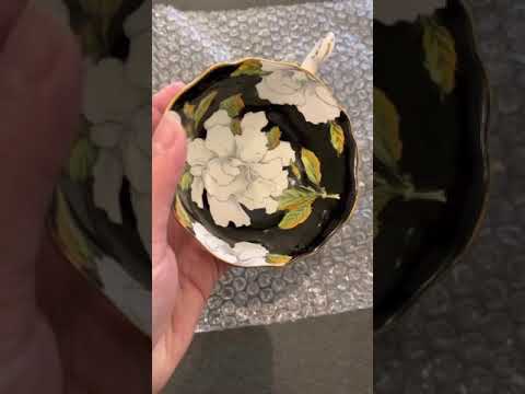 Paragon Ping Test