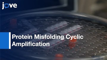 Protein Misfolding Cyclic Amplification Of Prions l Protocol Preview