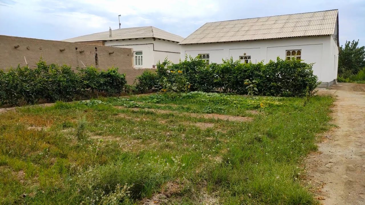 1000 M² xovli-joy, 20 sotok mallak yer / Cholish Urganch