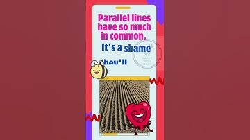 😆Parallel lines have so much in common. 😂 #humor #funny #stressrelief
