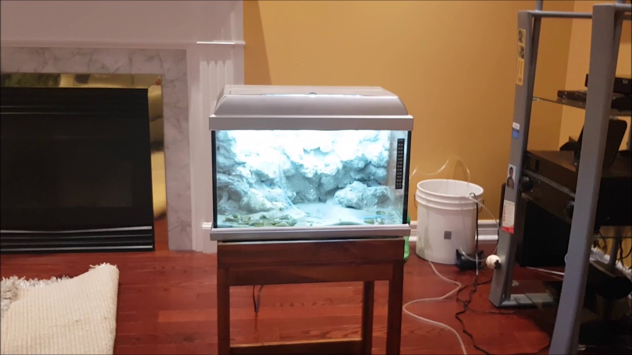 10 Gallon Tank Mistake - YouTube