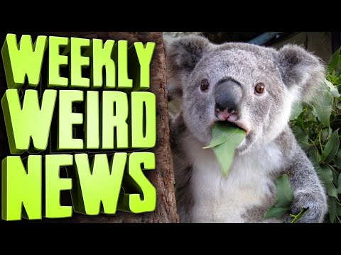 australia-can't-wipe-its-butt---weekly-weird-news