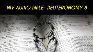 Deuteronomy 8 Niv  Bible with Text