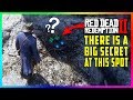 There Is Something MYSTERIOUS In This Eagle's Nest On Top Of The Mountain In Red Dead Redemption 2!