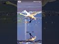 An Albatross's Elegant Moment: A Poem of Freedom Beneath Its Broad Wings