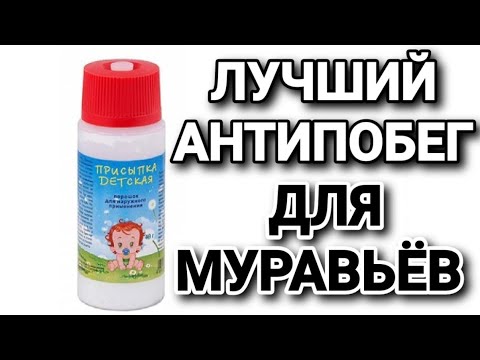 Лучший антипобег для муравьёв. #МуравьиЯрославль - YouTube