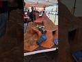 Sunset Crawl at Pacific Coast Hobbies