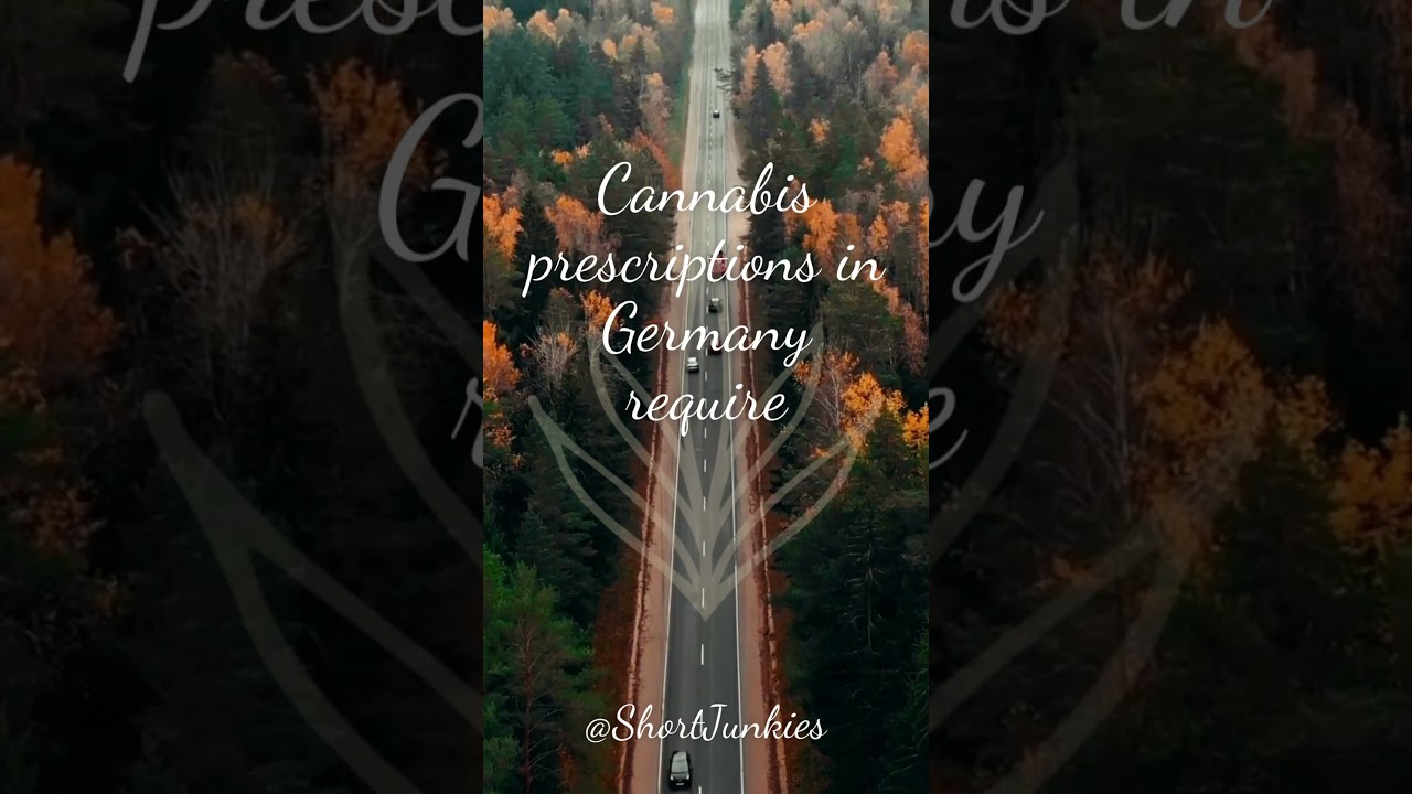 Germany legalisation facts