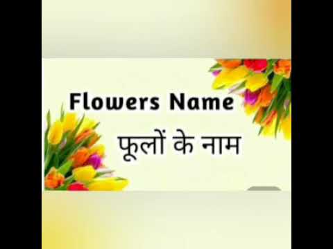 evs flowers name with worksheets youtube