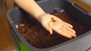 How to Set Up a Worm Farm