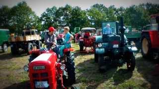 Fahr Traktor beim Oldtimer-Treff in Kirchgellersen