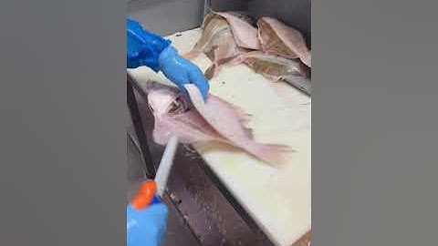🔪🐟 Quick and Easy Plaice Filleting Technique #shorts #seafood #fish