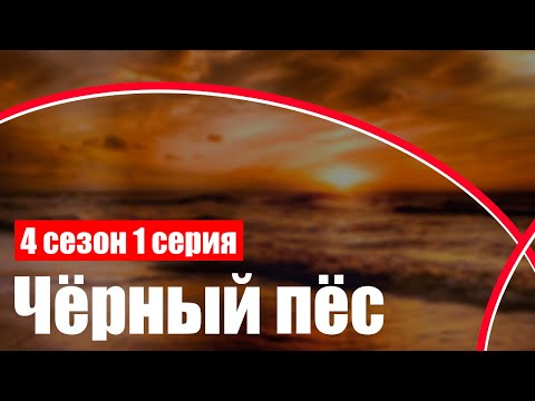 Видео: Кой е кинолог? Какво прави кинематографистът? Характеристики на професията кинолог