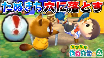 とびだせどうぶつの森 裏ワザ たぬきち 捕まえる