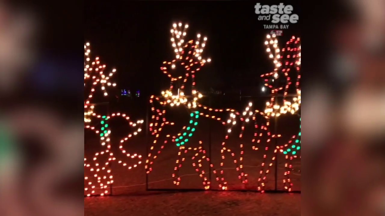 Wonderland of Lights at the Hillsborough County Fair Grounds YouTube