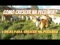 Como crescer na pecuária - OS 3 PILARES QUE TE FAZEM CRESCER E PROSPERAR NA PECUÁRIA