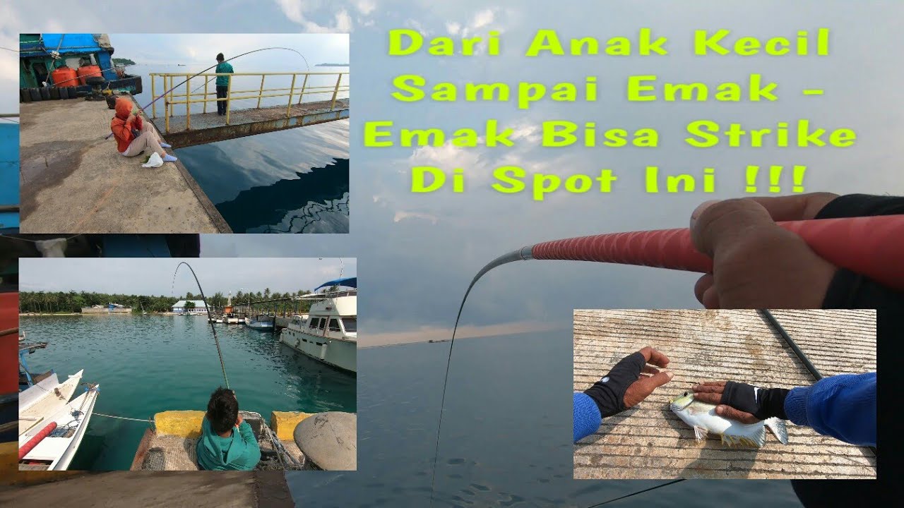 Sukar Di Percaya !!! Ikan Lezat Sangat Berlimpah DI Spot Ini Tapi Sepi Pemancing