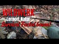 🔥Wir bauen eine #survival #Fackel mit #kienspan #fatwood🔥#bushcraft