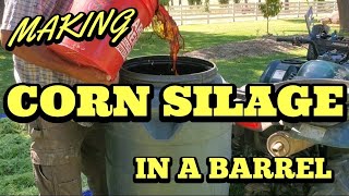 How to make CORN SILAGE in a BARREL! Make high quality feed with crop residue!