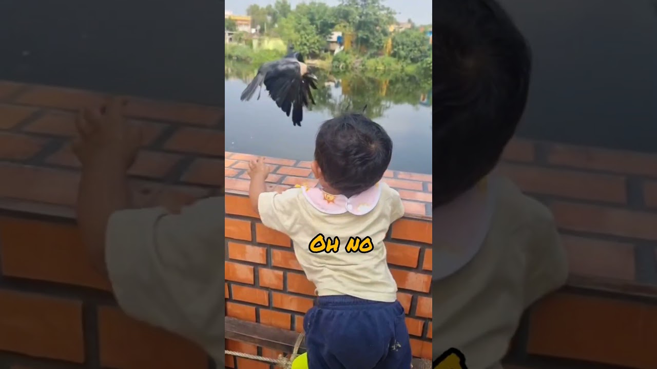 When two 'Mast Mast' crows show up. 9-month-old confusion activated! 😂 #shorts #cutebaby #viral