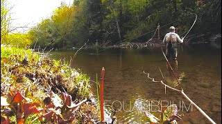 FLY FISHING-EQUILIBRIUM with Chris Walklet