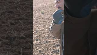 Brother John bites the bullet!! ID help! Civil war or civilian?? #metaldetecting