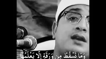 أنور الشحات أنور.. ما تيسر من سورة الأنعام