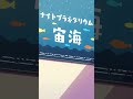 「お星さま、好き？」from アニメ『#おでかけ子ザメ』シーズン2
