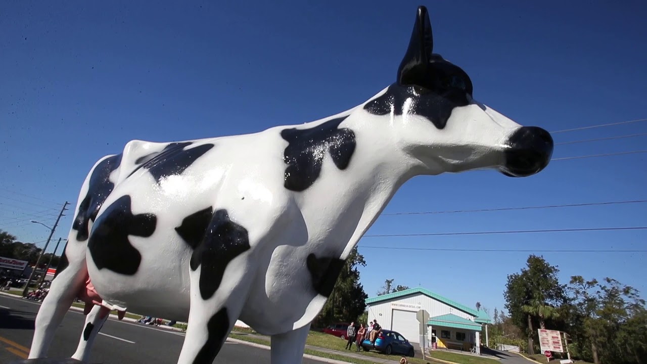 Belleview Christmas Parade YouTube